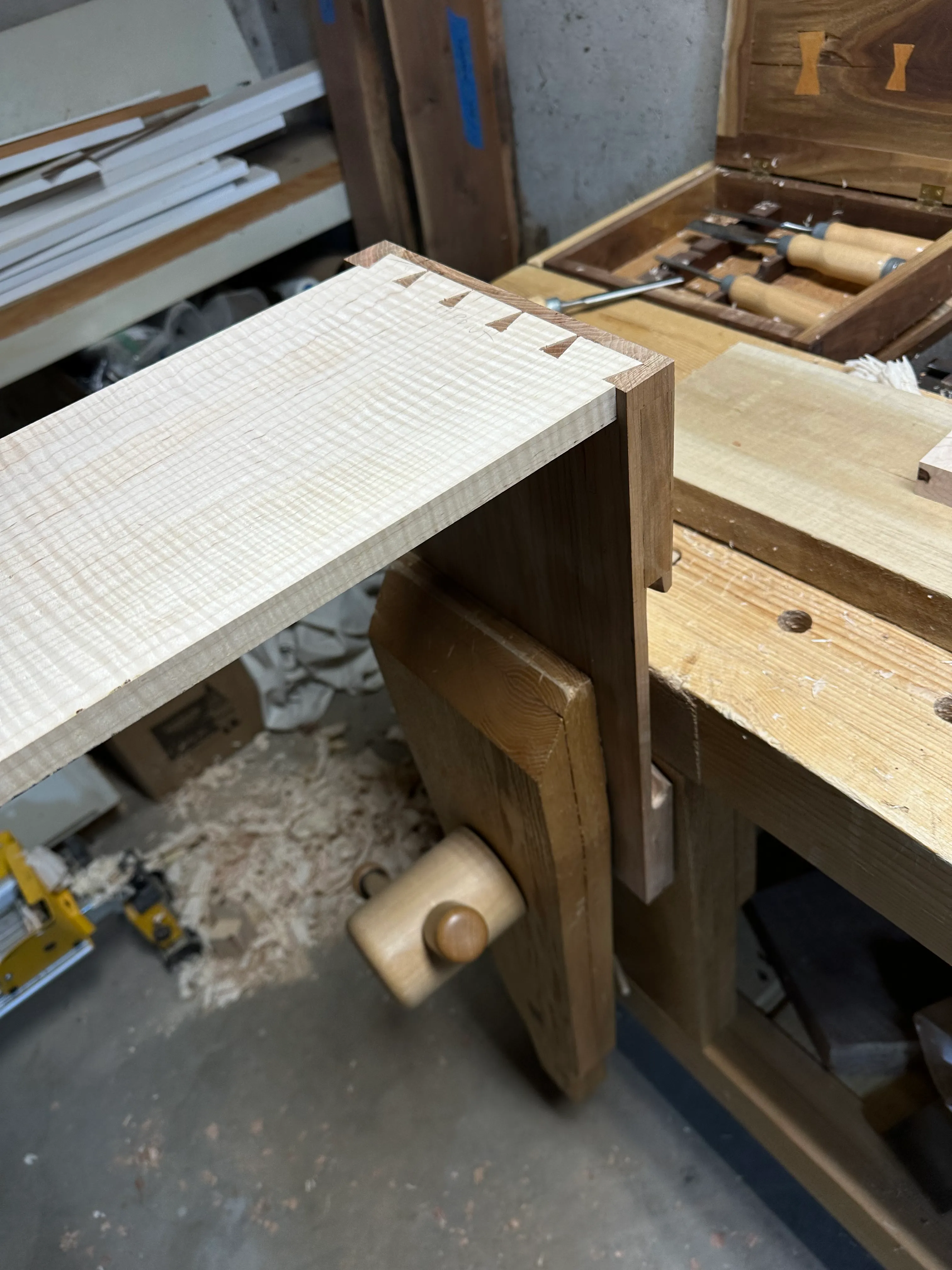 Half-blind dovetail joint test-fit with cherry front and maple side