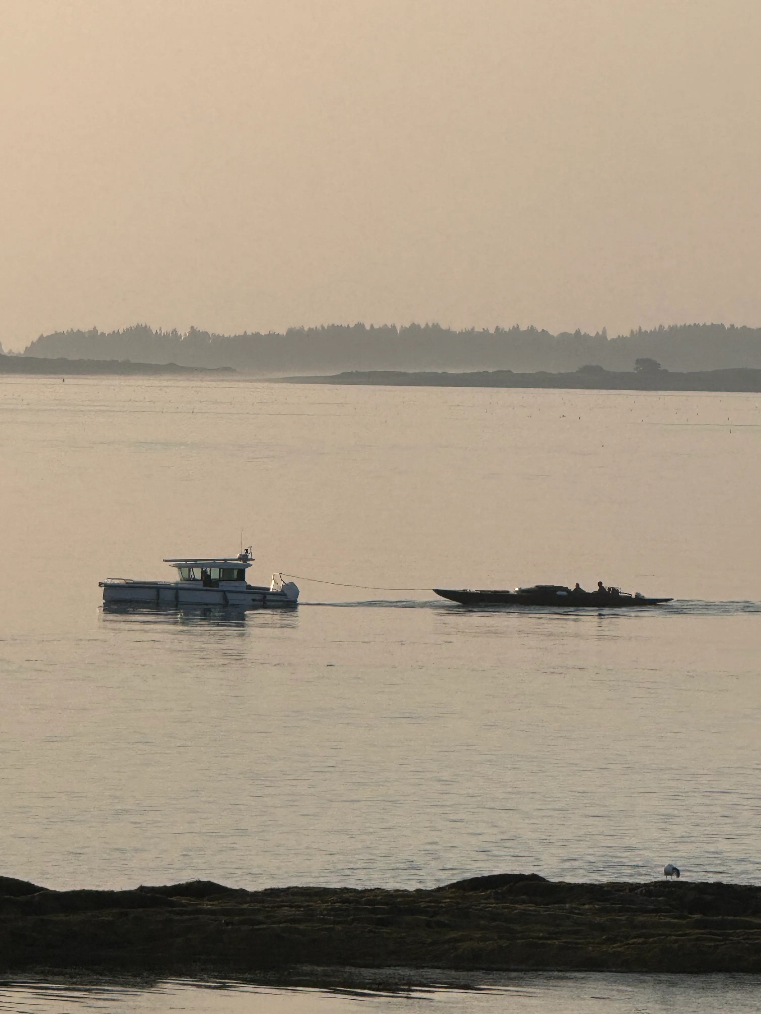 Calm harbor at sunset with boats on moorings