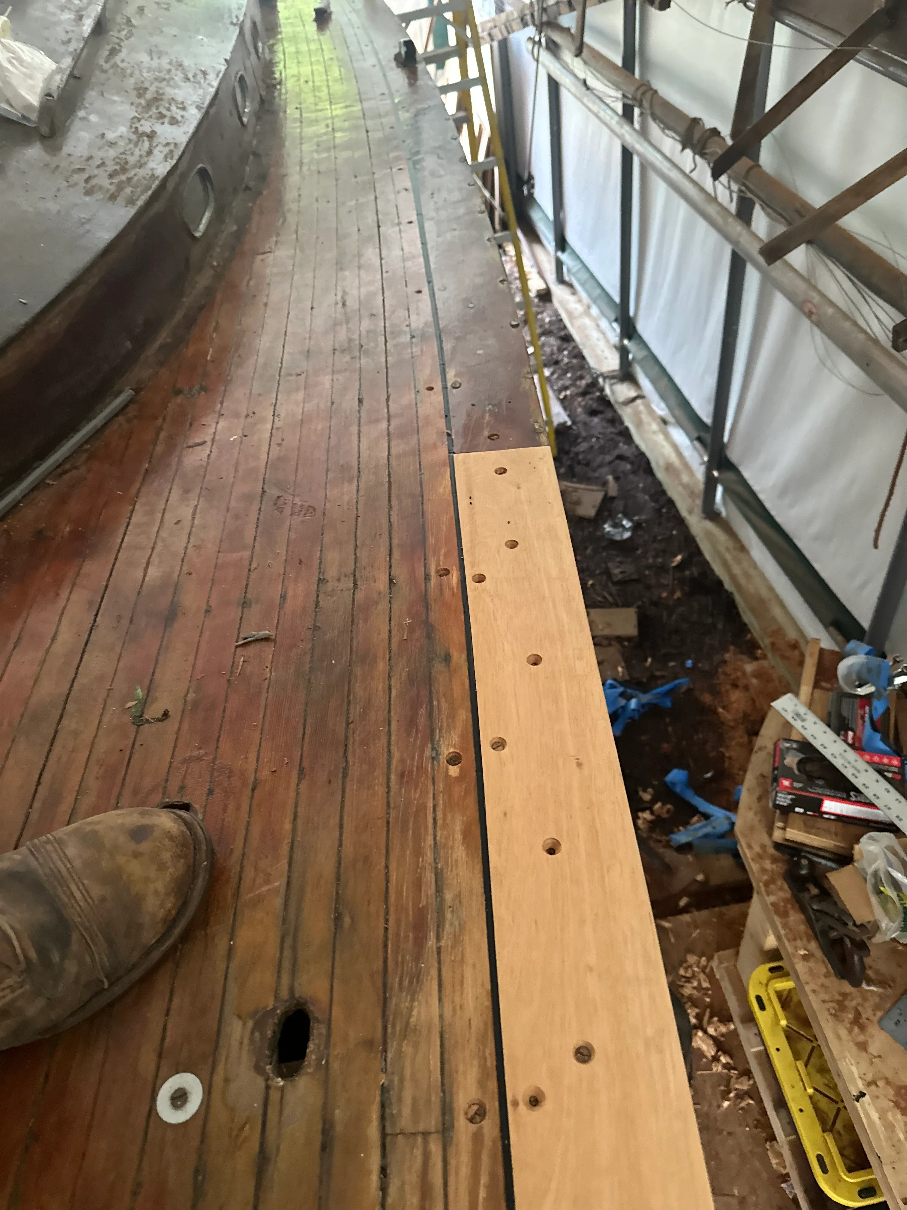 Hull viewed from above inside the tent, showing new sheerstrake plank with bung holes