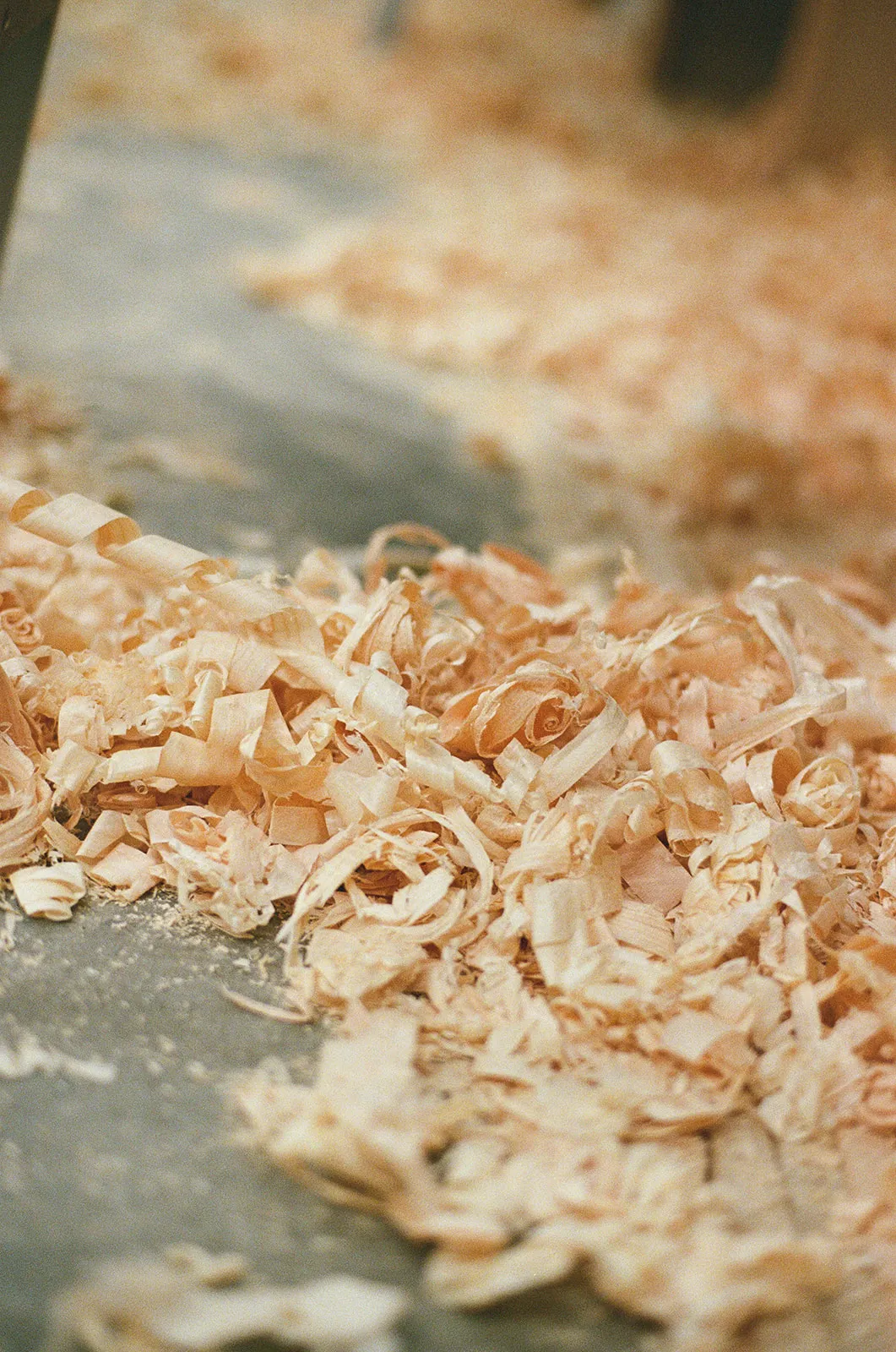 Pile of Sitka spruce shavings on the workshop floor